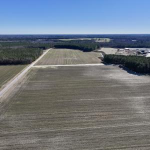 Photo #5 of SOLD property in Off Town Creek Road, Elm City, NC 26.4 acres
