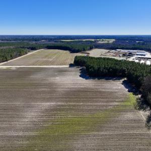 Photo #6 of SOLD property in Off Town Creek Road, Elm City, NC 26.4 acres