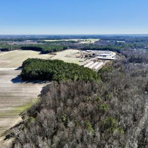 Photo #7 of SOLD property in Off Town Creek Road, Elm City, NC 26.4 acres