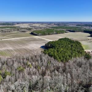 Photo #8 of SOLD property in Off Town Creek Road, Elm City, NC 26.4 acres