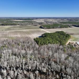 Photo #9 of SOLD property in Off Town Creek Road, Elm City, NC 26.4 acres