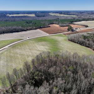 Photo #11 of SOLD property in Off Orchard Road, Elm City, NC 49.0 acres