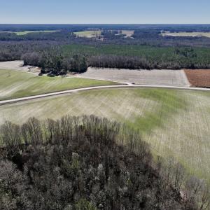 Photo #12 of SOLD property in Off Orchard Road, Elm City, NC 49.0 acres