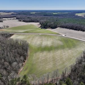 Photo #13 of SOLD property in Off Orchard Road, Elm City, NC 49.0 acres
