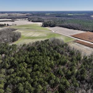 Photo #15 of SOLD property in Off Orchard Road, Elm City, NC 49.0 acres