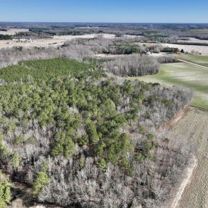 Photo #17 of SOLD property in Off Orchard Road, Elm City, NC 49.0 acres