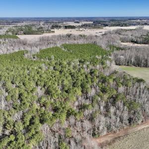 Photo #18 of SOLD property in Off Orchard Road, Elm City, NC 49.0 acres