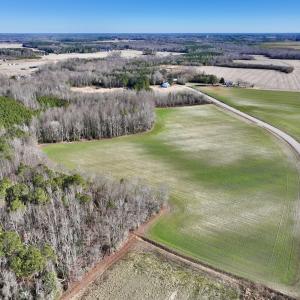Photo #19 of SOLD property in Off Orchard Road, Elm City, NC 49.0 acres