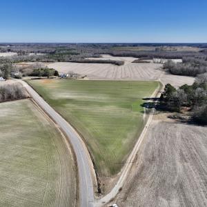 Photo #2 of SOLD property in Off Orchard Road, Elm City, NC 49.0 acres