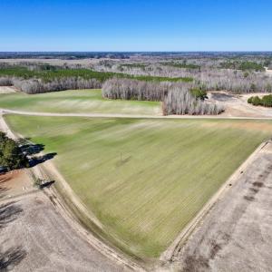 Photo #5 of SOLD property in Off Orchard Road, Elm City, NC 49.0 acres