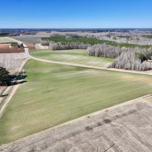 Photo #6 of SOLD property in Off Orchard Road, Elm City, NC 49.0 acres