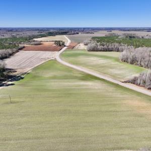 Photo #7 of SOLD property in Off Orchard Road, Elm City, NC 49.0 acres