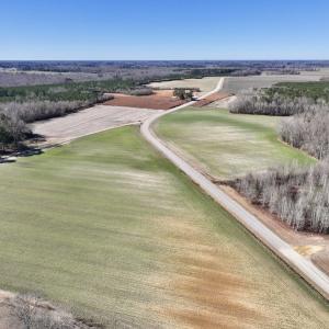 Photo #8 of SOLD property in Off Orchard Road, Elm City, NC 49.0 acres