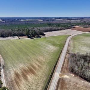 Photo #9 of SOLD property in Off Orchard Road, Elm City, NC 49.0 acres