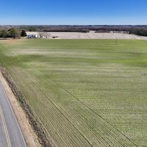 Photo #24 of SOLD property in Off Orchard Road, Elm City, NC 49.0 acres