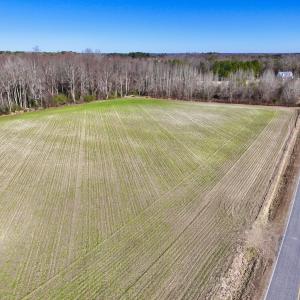 Photo #25 of SOLD property in Off Orchard Road, Elm City, NC 49.0 acres