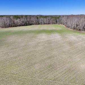 Photo #26 of SOLD property in Off Orchard Road, Elm City, NC 49.0 acres
