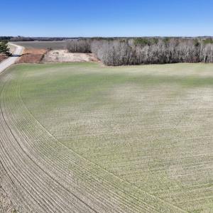 Photo #27 of SOLD property in Off Orchard Road, Elm City, NC 49.0 acres
