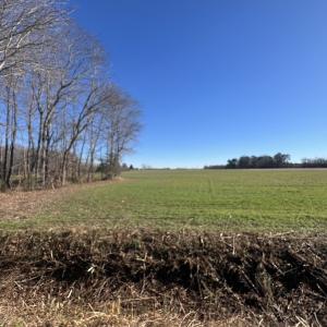Photo #28 of SOLD property in Off Orchard Road, Elm City, NC 49.0 acres