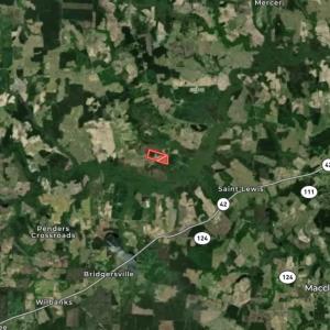 Photo #35 of SOLD property in Off Orchard Road, Elm City, NC 49.0 acres
