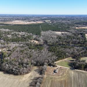 Photo #11 of SOLD property in Off Perkins Rd., Petersburg, VA 22.0 acres