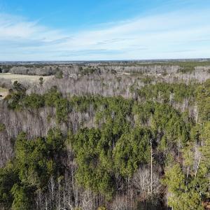 Photo #20 of SOLD property in Off Perkins Rd., Petersburg, VA 22.0 acres