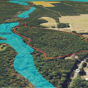 Photo #8 of SOLD property in Off Perkins Rd., Petersburg, VA 22.0 acres