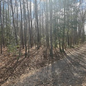 Photo #21 of SOLD property in Off Perkins Rd., Petersburg, VA 22.0 acres