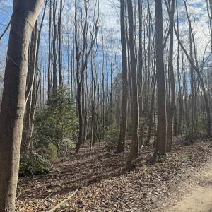 Photo #22 of SOLD property in Off Perkins Rd., Petersburg, VA 22.0 acres