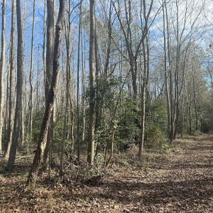 Photo #23 of SOLD property in Off Perkins Rd., Petersburg, VA 22.0 acres