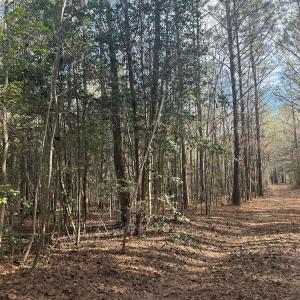 Photo #24 of SOLD property in Off Perkins Rd., Petersburg, VA 22.0 acres