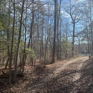 Photo #26 of SOLD property in Off Perkins Rd., Petersburg, VA 22.0 acres