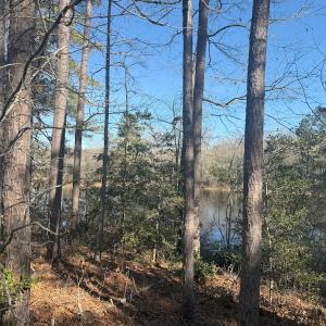 Photo #28 of SOLD property in Off Perkins Rd., Petersburg, VA 22.0 acres