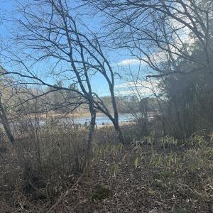 Photo #30 of SOLD property in Off Perkins Rd., Petersburg, VA 22.0 acres