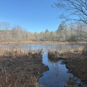 Photo #31 of SOLD property in Off Perkins Rd., Petersburg, VA 22.0 acres