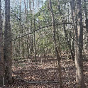 Photo #34 of SOLD property in Off Perkins Rd., Petersburg, VA 22.0 acres