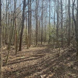 Photo #35 of SOLD property in Off Perkins Rd., Petersburg, VA 22.0 acres