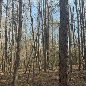 Photo #37 of SOLD property in Off Perkins Rd., Petersburg, VA 22.0 acres