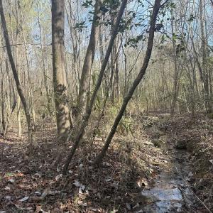 Photo #38 of SOLD property in Off Perkins Rd., Petersburg, VA 22.0 acres