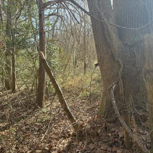Photo #39 of SOLD property in Off Perkins Rd., Petersburg, VA 22.0 acres