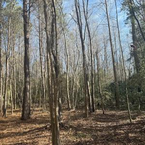 Photo #40 of SOLD property in Off Perkins Rd., Petersburg, VA 22.0 acres