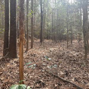 Photo #43 of SOLD property in Off Perkins Rd., Petersburg, VA 22.0 acres
