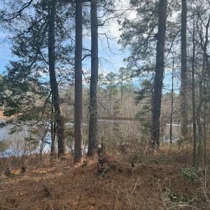 Photo #44 of SOLD property in Off Perkins Rd., Petersburg, VA 22.0 acres