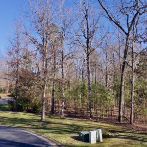 Photo #1 of 118 Candor Oaks Drive, New London, NC 0.5 acres