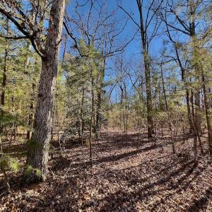 Photo #12 of 118 Candor Oaks Drive, New London, NC 0.5 acres