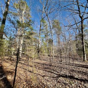 Photo #13 of 118 Candor Oaks Drive, New London, NC 0.5 acres