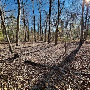Photo #14 of 118 Candor Oaks Drive, New London, NC 0.5 acres