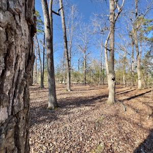 Photo #23 of 118 Candor Oaks Drive, New London, NC 0.5 acres