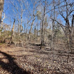 Photo #24 of 118 Candor Oaks Drive, New London, NC 0.5 acres