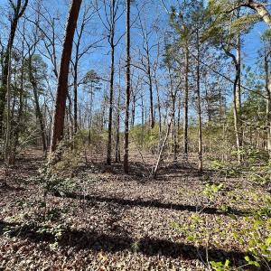 Photo #25 of 118 Candor Oaks Drive, New London, NC 0.5 acres